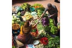 Image Image